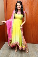 Swetha Jadhav Gallery